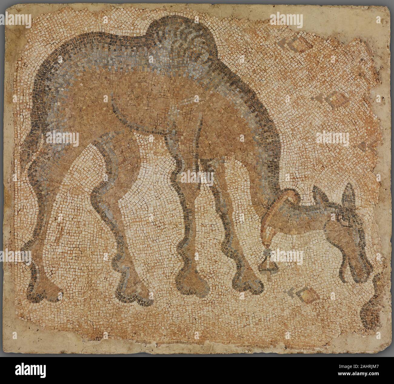 Byzantine. Mosaic Fragment with Grazing Camel. 301 AD–500 AD. Byzantine  Empire. Stone in mortar This image of a grazing camel probably came from a  larger composition with other animals that decorated the