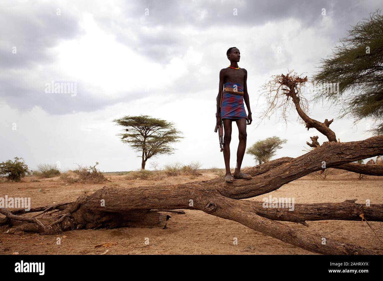 Young man of Dassanech tribe standing on a tree branch with a gun in his hands, Omo valley, Ethiopia Stock Photo