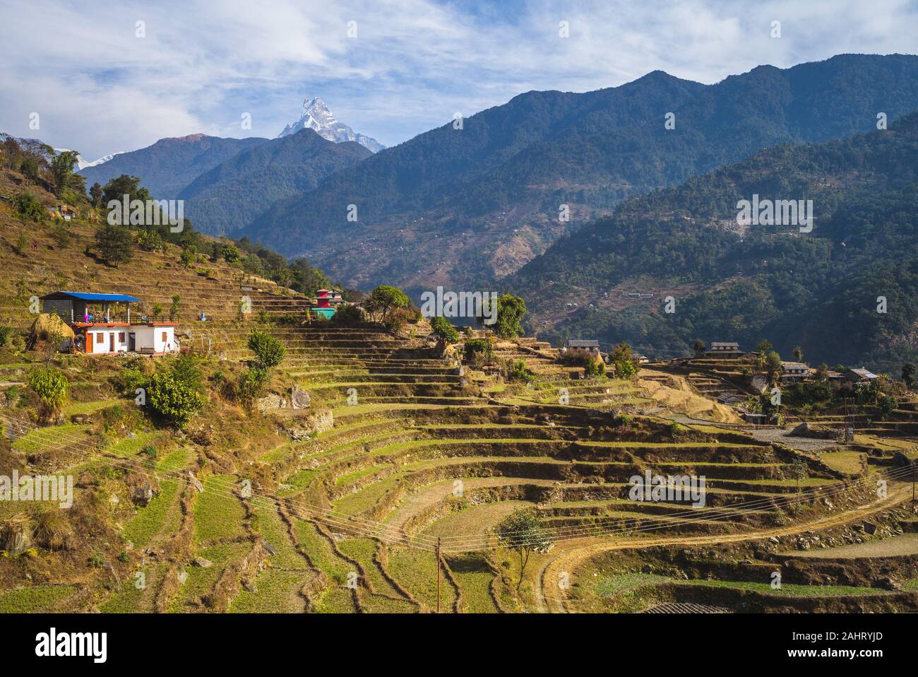 scenery of nepal near pokhara with fishtail peak Stock Photo