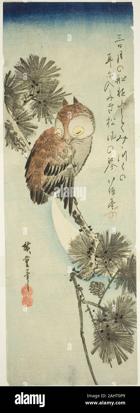 Small-horned owl, pine, and crescent moon. Utagawa Hiroshige