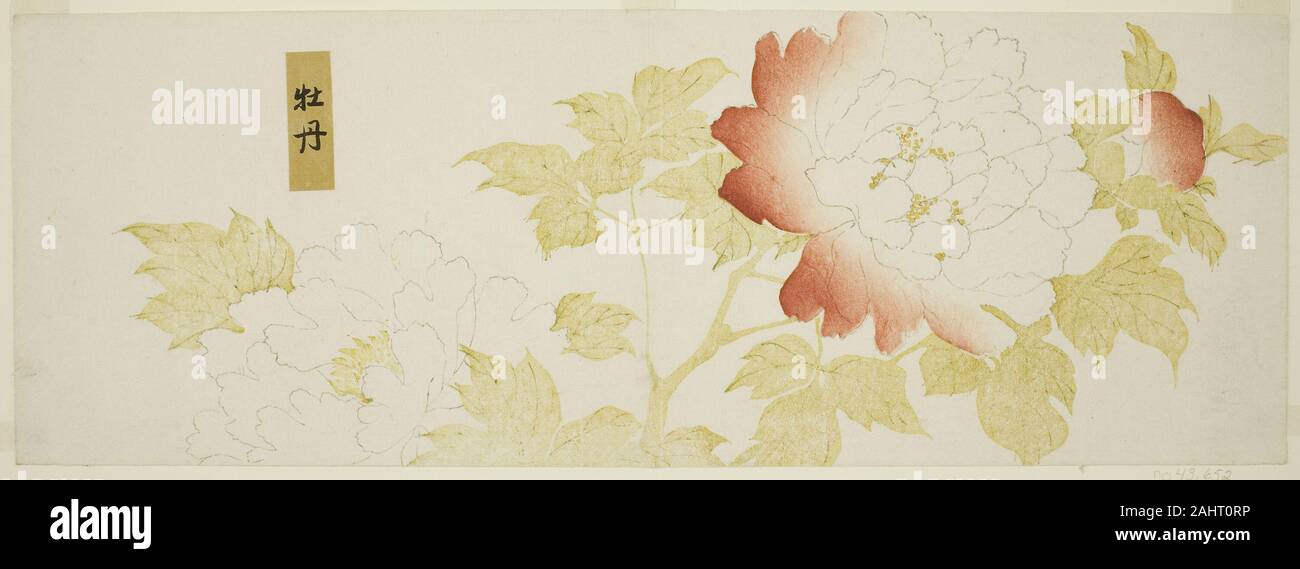 Kitagawa Utamaro. Peonies. 1753–1806. Japan. Color woodblock print; surimono Stock Photo