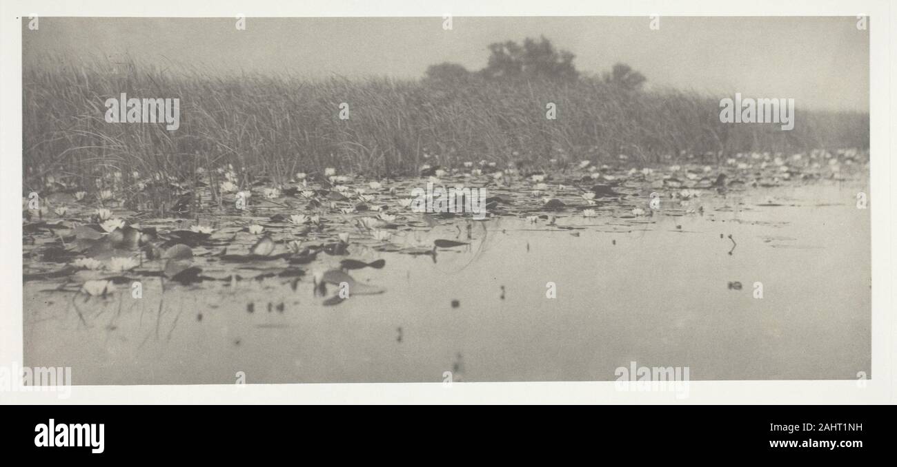 Peter Henry Emerson. Water-Lilies. 1886. England. Platinum print, pl. VIII from the album Life and Landscape on the Norfolk Broads (1886); edition of 200 Stock Photo