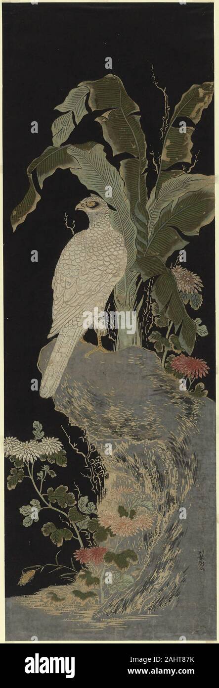 Isoda Koryusai. The White Falcon. 1780. Japan. Color woodblock print; ishizuri-e Stock Photo