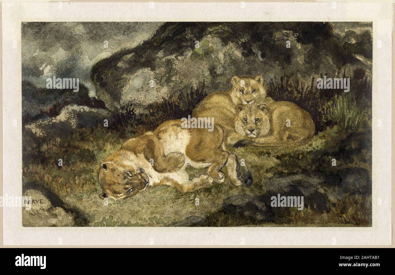 Antoine Louis Barye. Lioness and Cubs. 1827–1837. France. Watercolor, with graphite, on ivory wove paper, laid down on Japanese paper Barye strove for anatomical accuracy in his sculptures, and his watercolors show Antoine Louis Barye. Lioness and Cubs. 1827–1837. France. Watercolor, with graphite, on ivory wove paper, laid down on Japanese paper Barye strove for anatomical accuracy in his sculptures, and his watercolors show