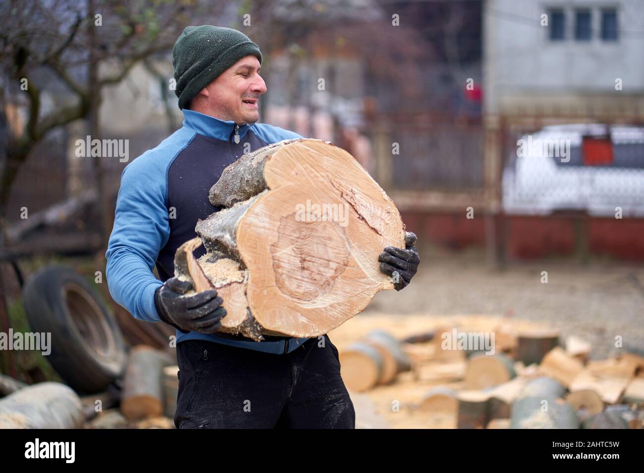 Lumberjack lifting beech logs for bucking Stock Photo