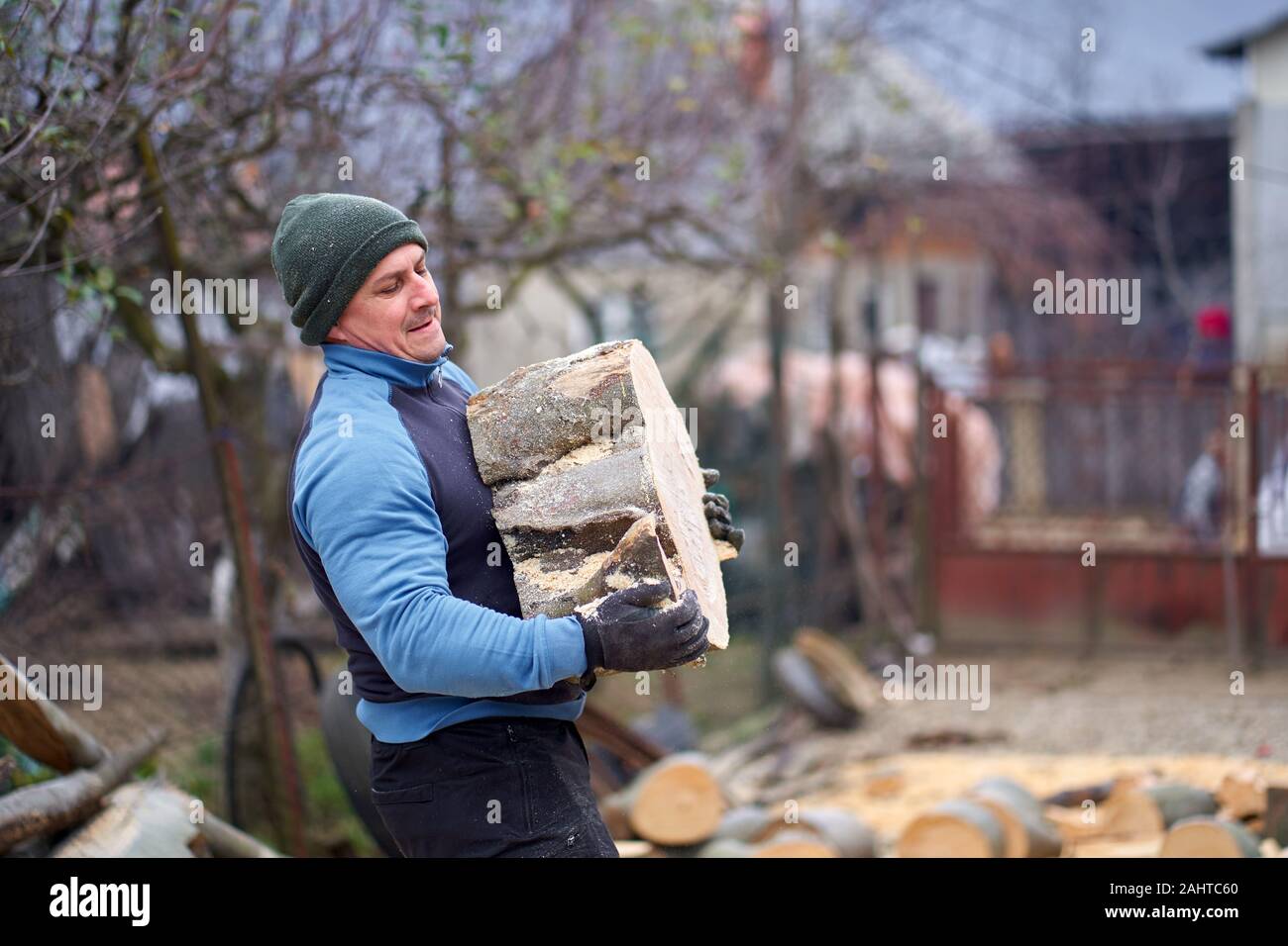 Lumberjack lifting beech logs for bucking Stock Photo