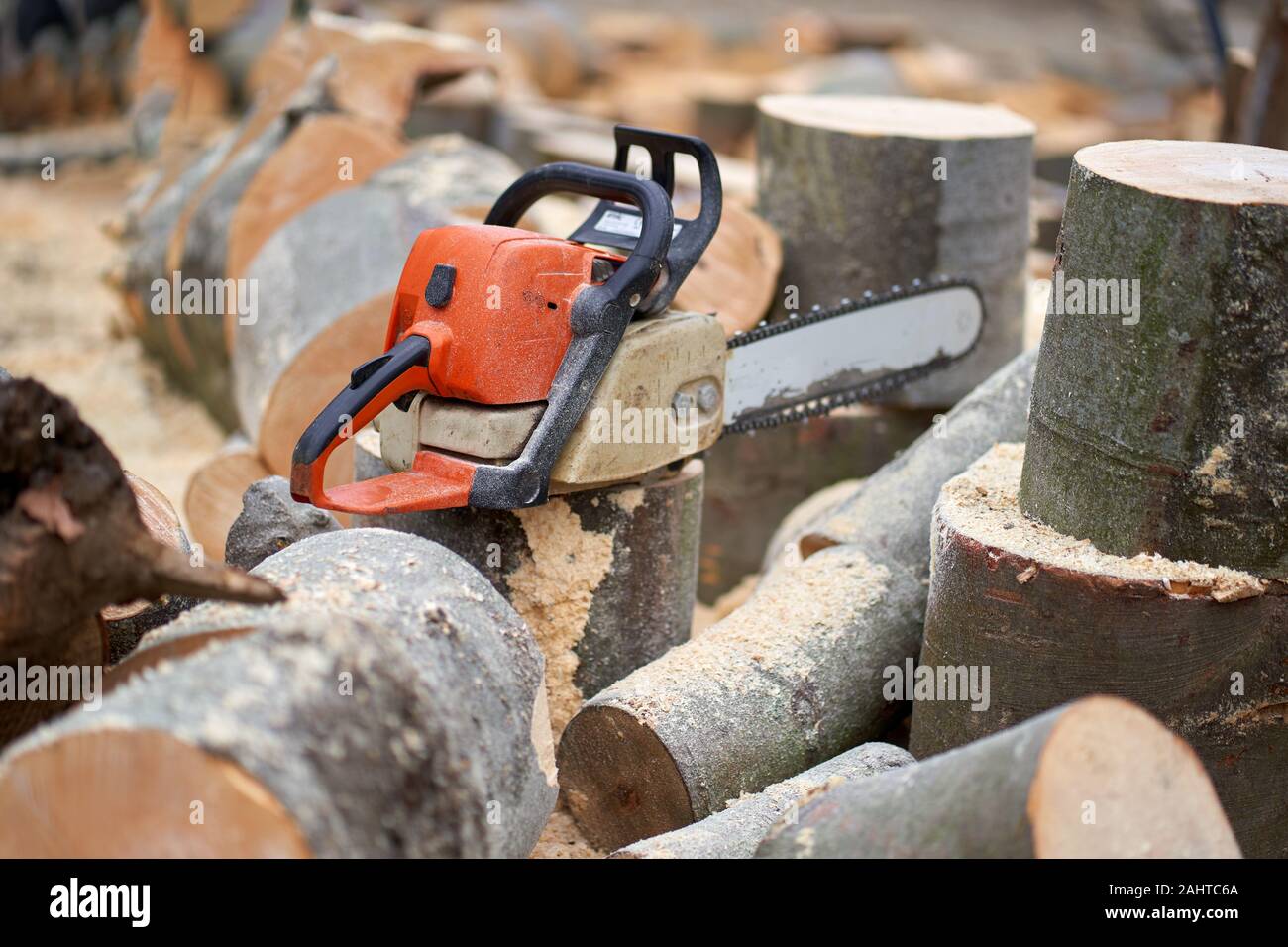 Lumberjack tools for bucking logs, chainsaw Stock Photo Alamy