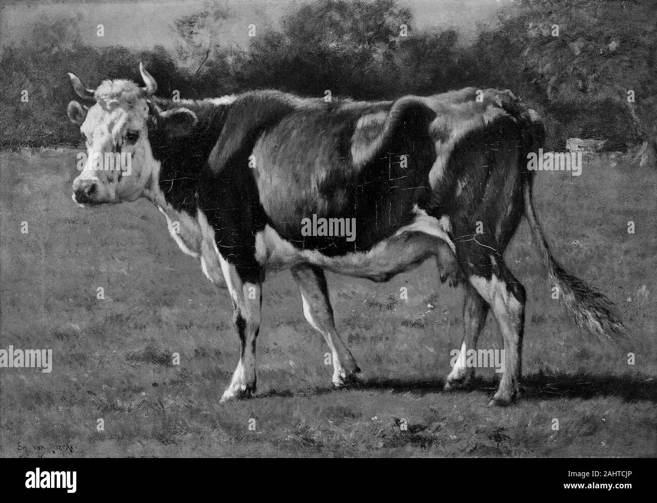 Emile van Marcke de Lummen. Study of a Cow. 1870–1890. France. Oil on canvas Stock Photo