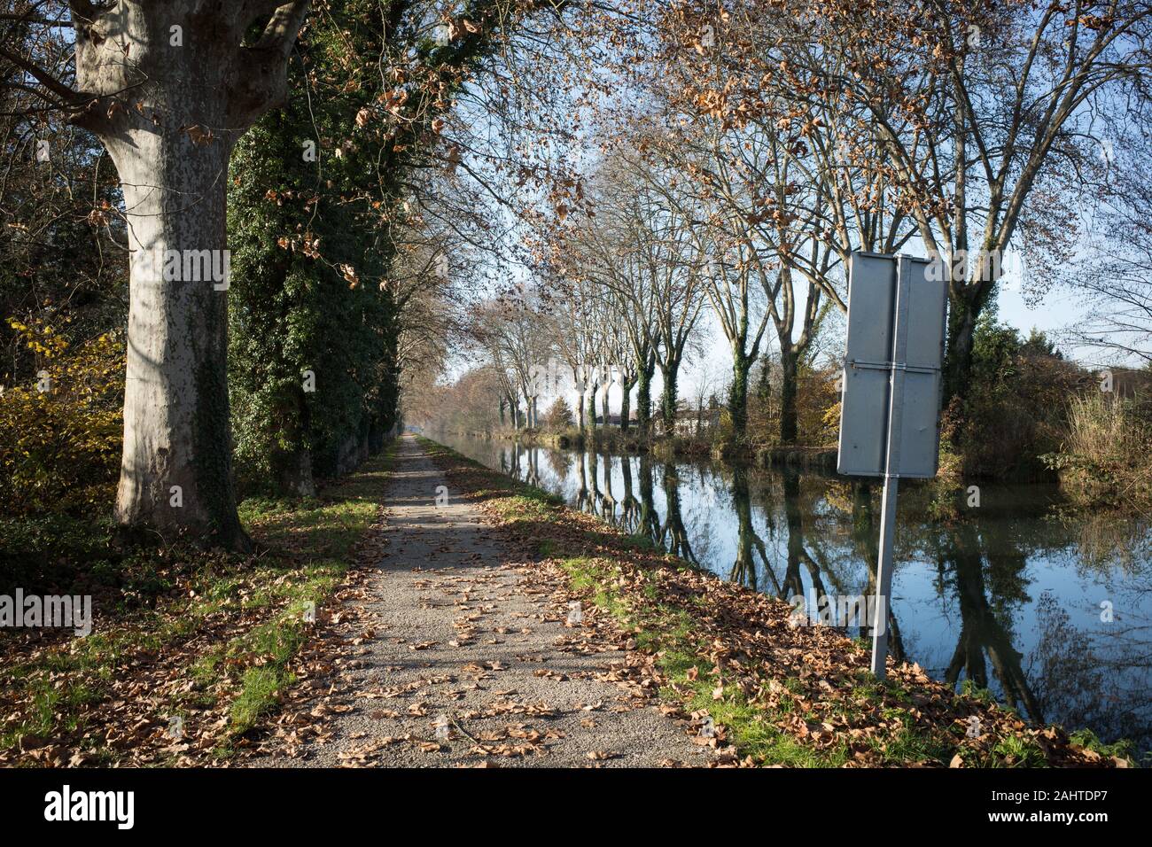 CANAL LATÉRAL À LA GARONNE - CANAL LINED BY AN ALLEY OF POPLARS - FRENCH CANAL -CANAL LANDSCAPE  IN AUTUMN SEASON -  LOT ET GARONNE - AQUITAINE - FRANCE © Frédéric BEAUMONT Stock Photo