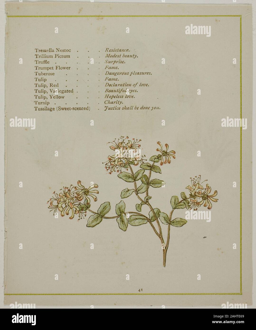 Kate Greenaway. Valerian Through Volkamenia, from The Illuminated Language of Flowers. 1884. England. Color wood engraving (chromoxylograph) reproduction of a watercolor on paper Stock Photo