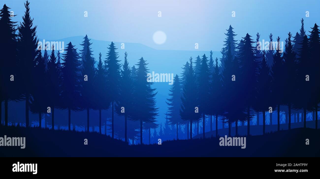 Nature forest Natural Pine forest mountains horizon Landscape wallpaper