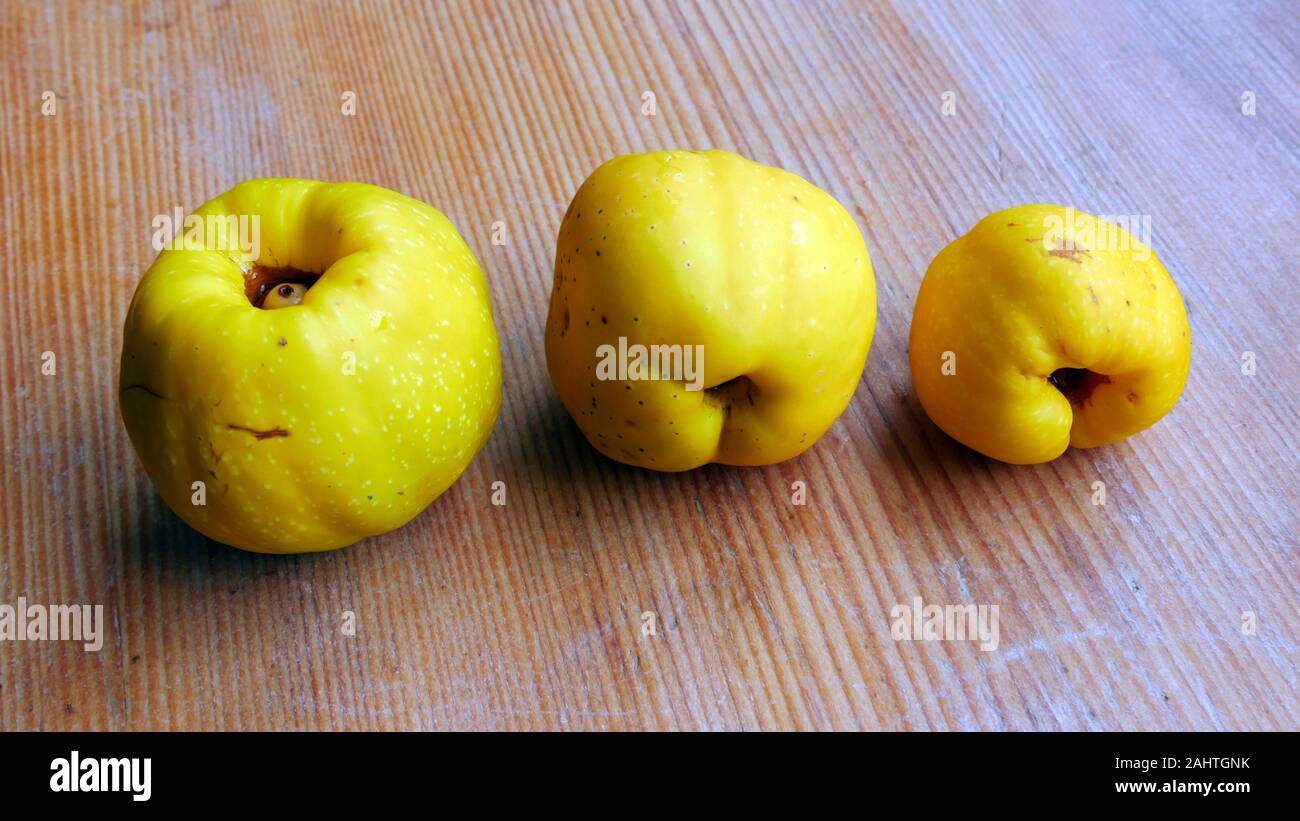 Fruit of Japanese quince. Autumn harvest Stock Photo Alamy