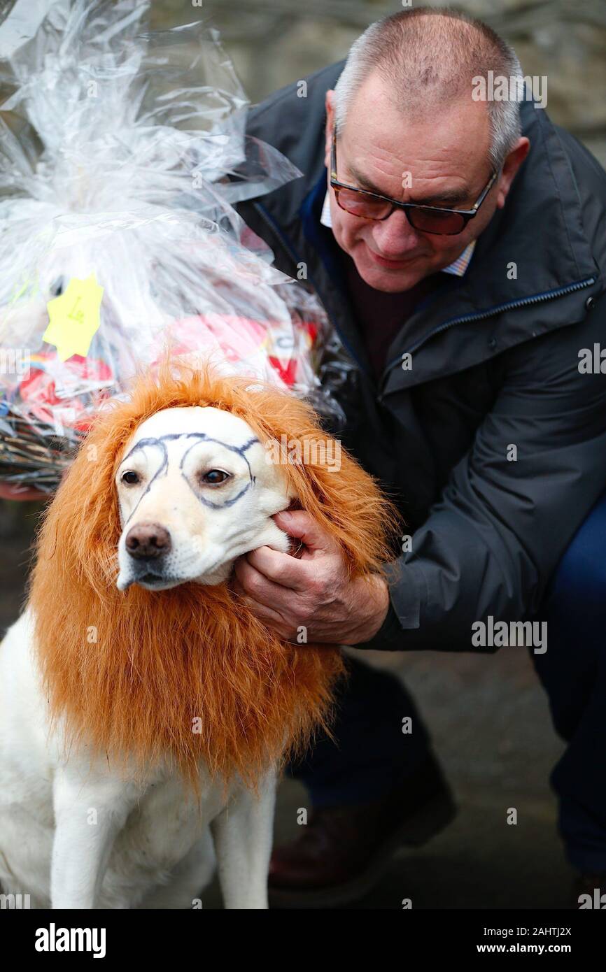 Sutton Valence, Kent, UK. 01 January, 2020. The Sutton Valence annual New Years Day pram race sponsered by the Queens Head Oddfellows Fund begins with an over 40's race and then the main event beginning at 1pm. Prizes are given out to the winners of each race and to the best dressed. Rules for the race consists of obligatory pit stops where contestants must drink a beer at every pub (4) in the village along the way. Dog dressed in fancy dress. Credit: Paul Lawrenson/Alamy Live News Stock Photo