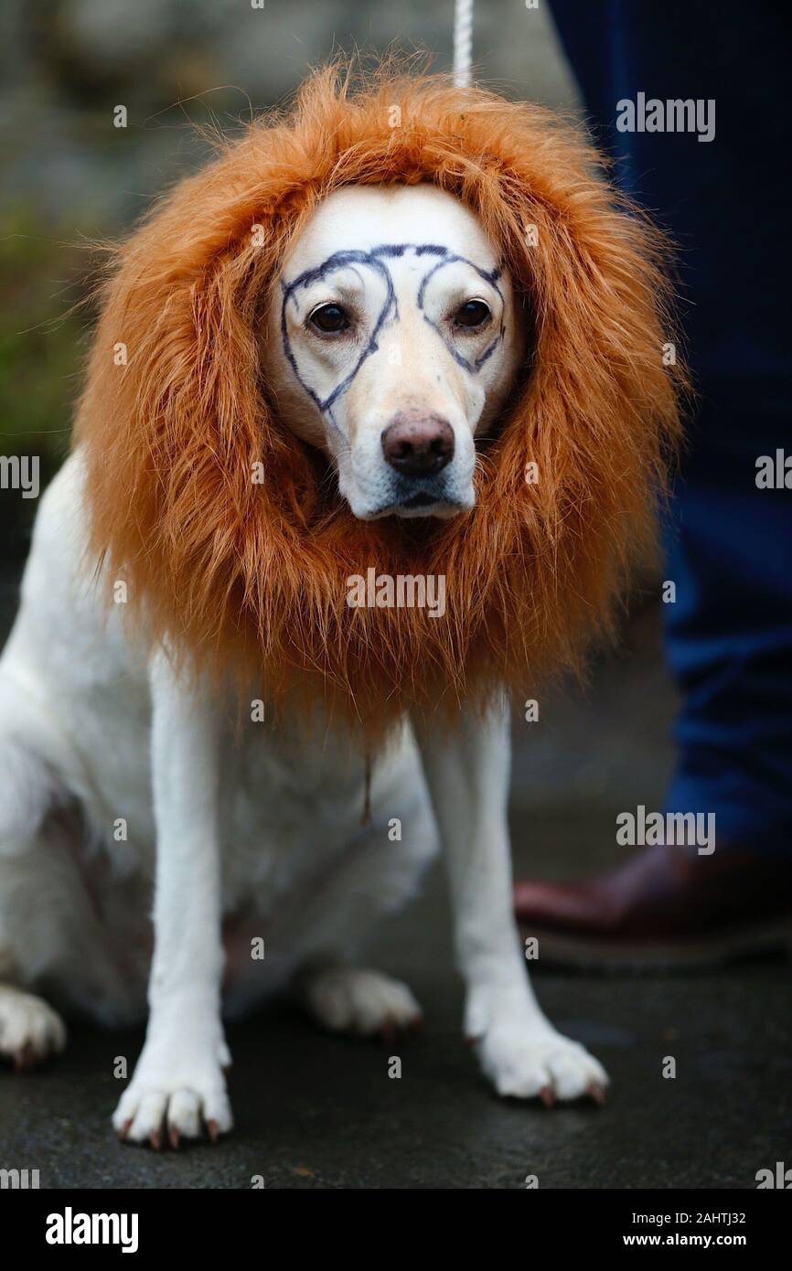 sutton-valence-kent-uk-01-january-2020-t