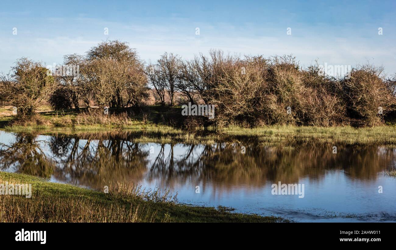 Wool village dorset hires stock photography and images Alamy