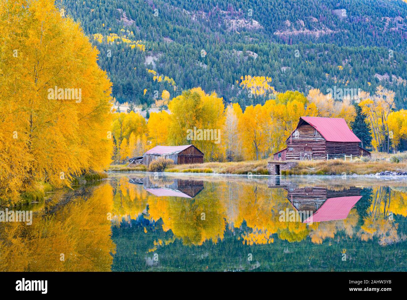 Fall reflection of barn and aspen trees in Colorado Stock Photo