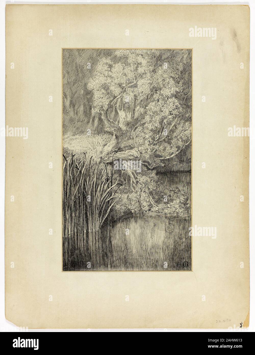 Little Pond in Woods. 1800–1899. United Kingdom. Pen and black ink on ivory wove paper Stock Photo