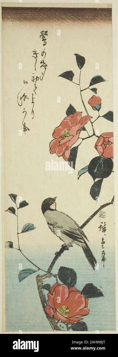 Utagawa Hiroshige. Camellia flowers and bullfinch. 1838–1852 Utagawa Hiroshige. Camellia flowers and bullfinch. 1838–1852