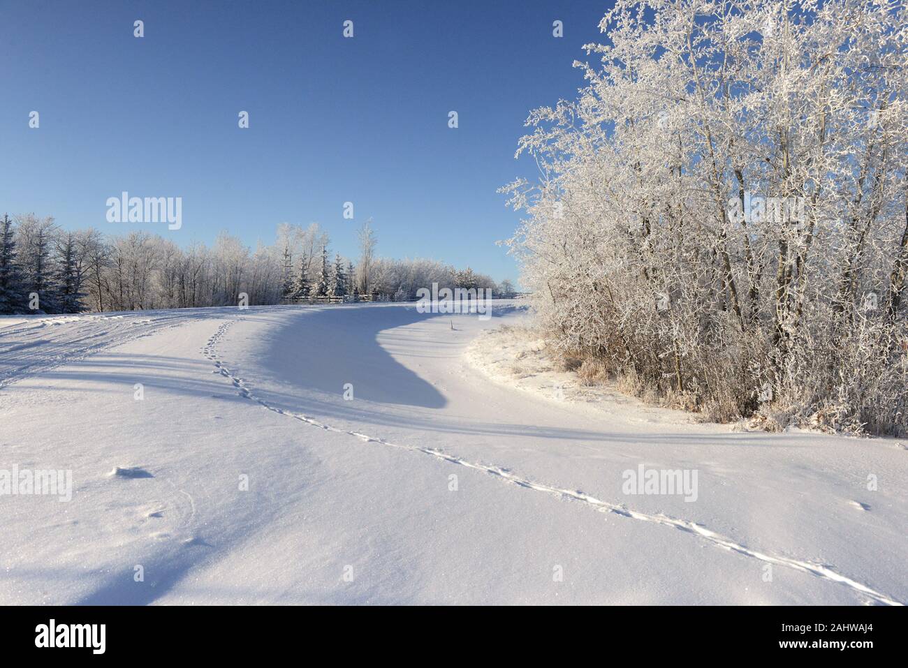 Sunny winter day in Saskatoon, Canada Stock Photo