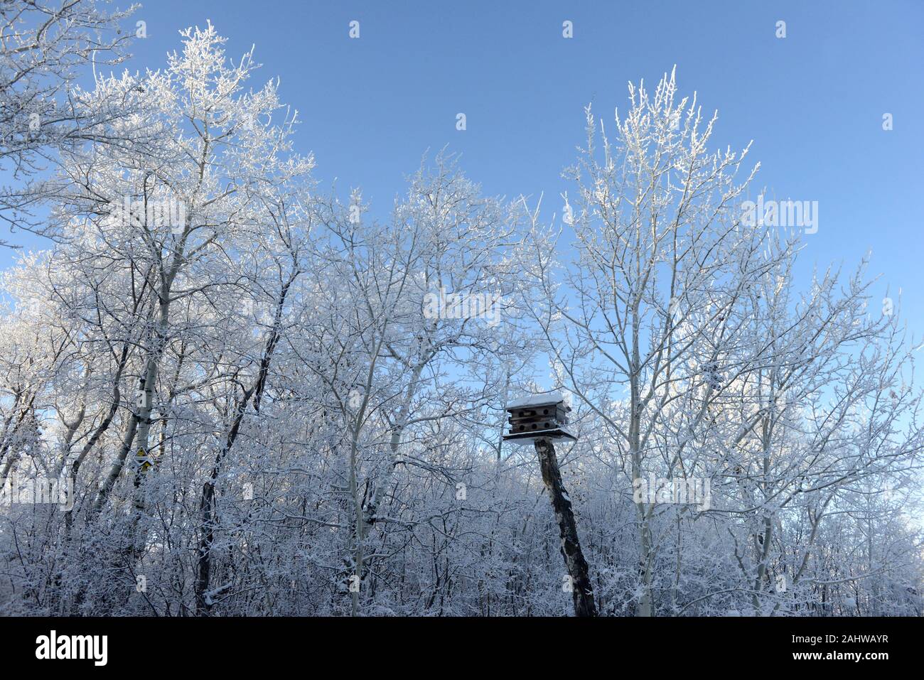 Canadian winter Stock Photo