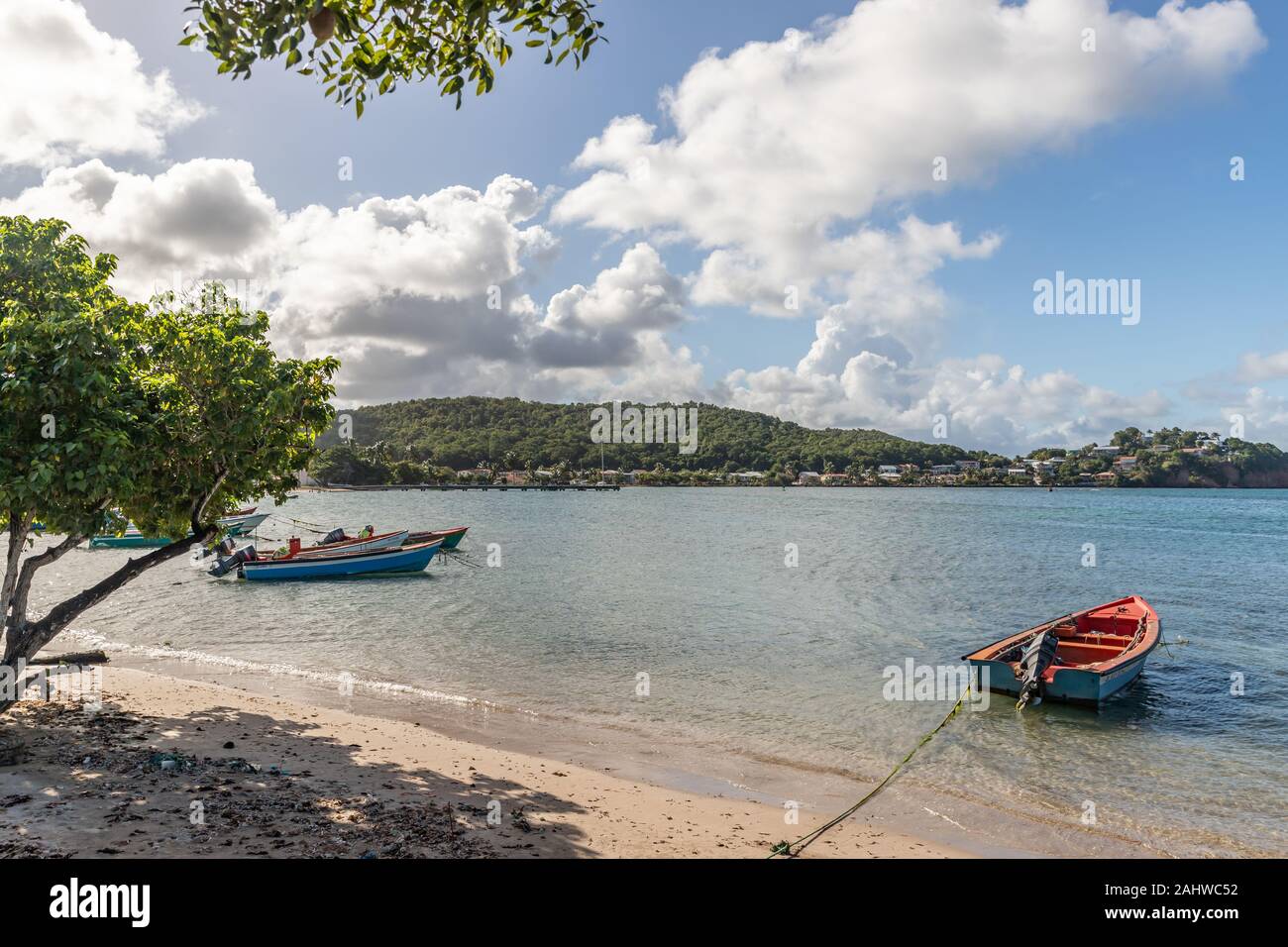 Fish Martinque Fishing boats in water in Trinite, Martinique, France Stock Photo - Alamy
