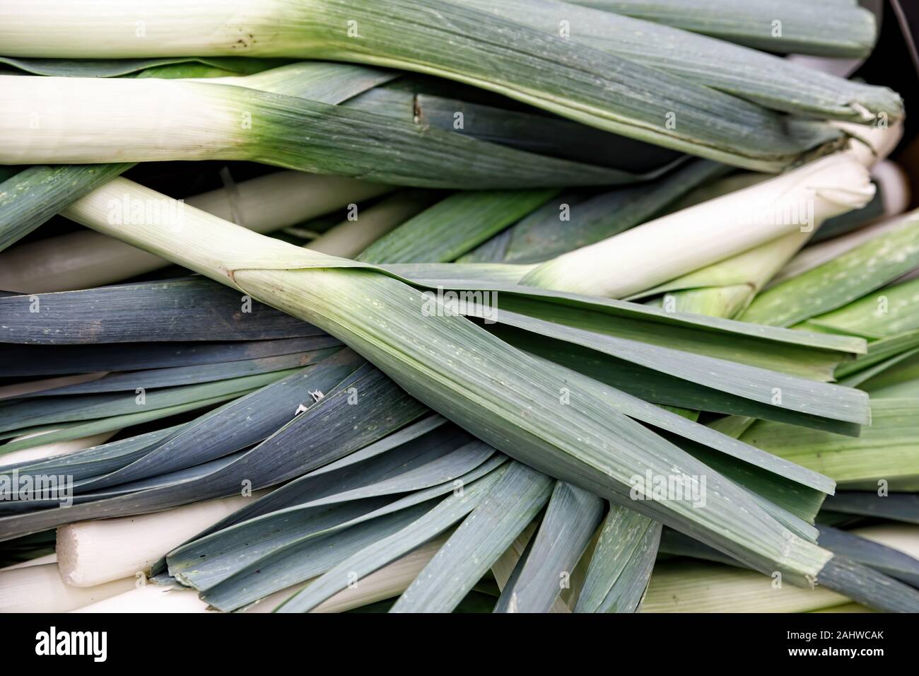 The green leeks are shot closeup. Vegetable department in the grocery