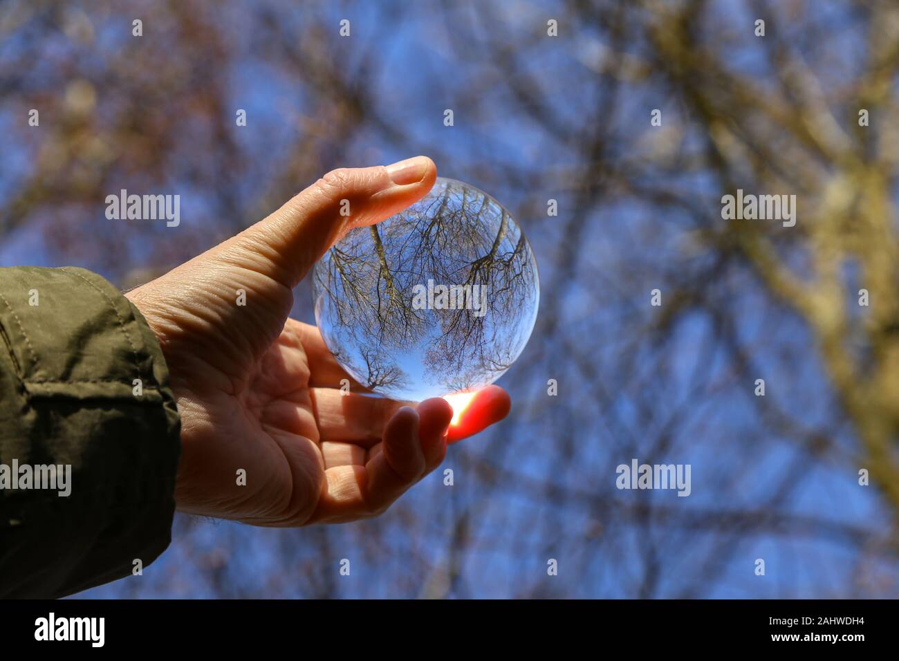 Trees and blue sky through a transparent glass ball Stock Photo - Alamy