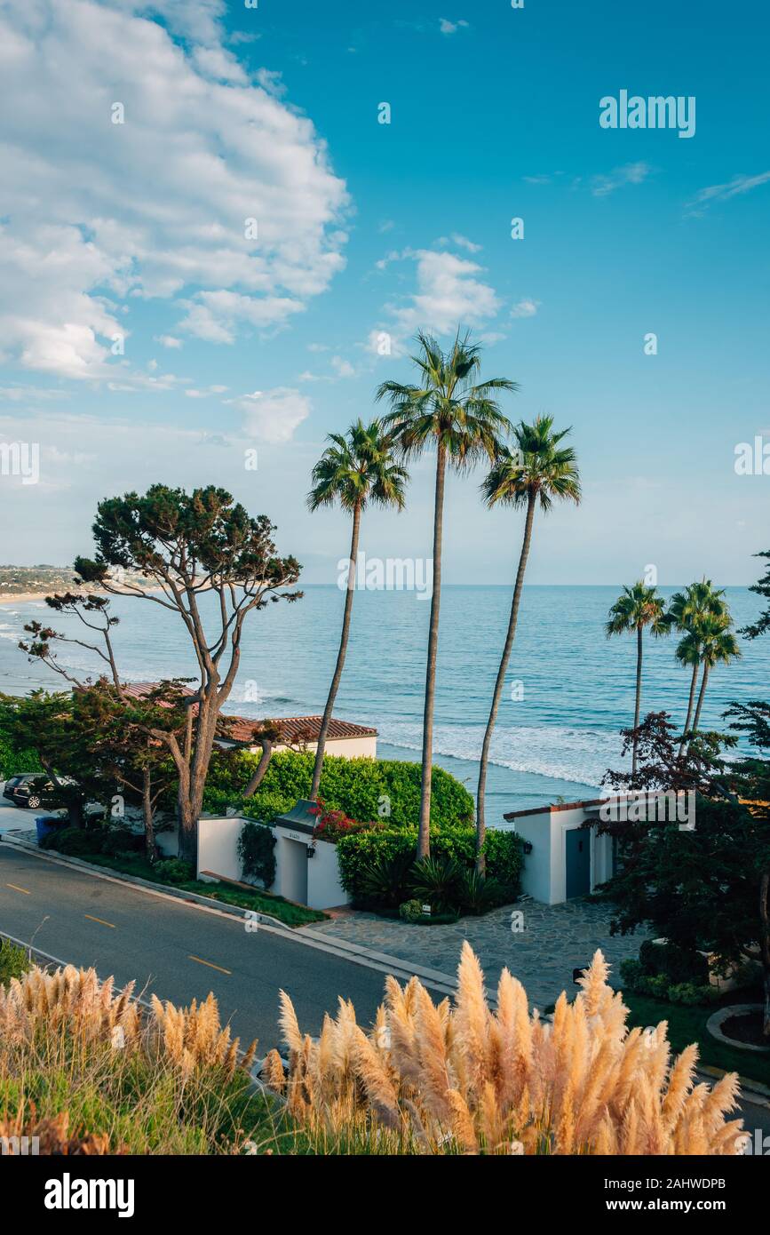 Palm trees and houses along the beach in Malibu, California Stock Photo