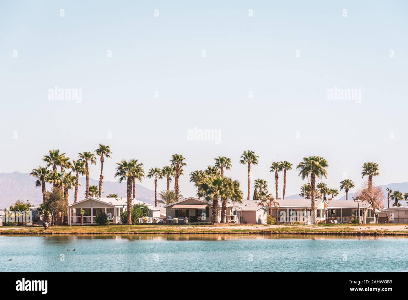 Palm trees and houses along Lake Tamarisk, in Desert Center, California