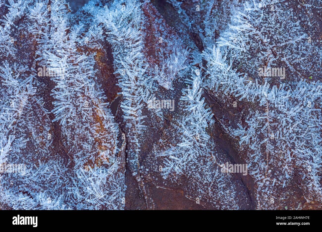Frozen leaf with ice crystals, winter background Stock Photo - Alamy