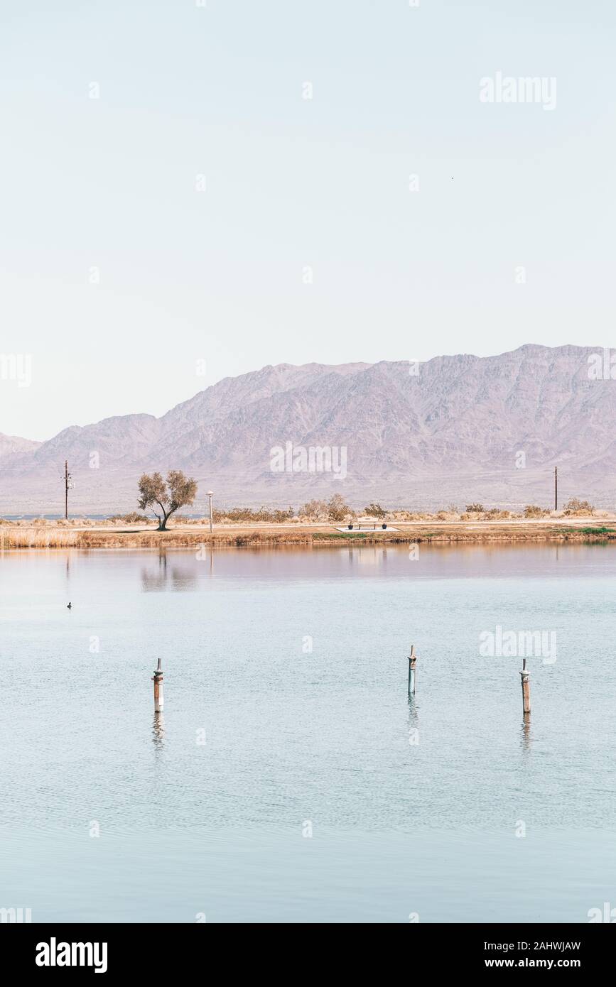 Lake Tamarisk, in Desert Center, California Stock Photo Alamy