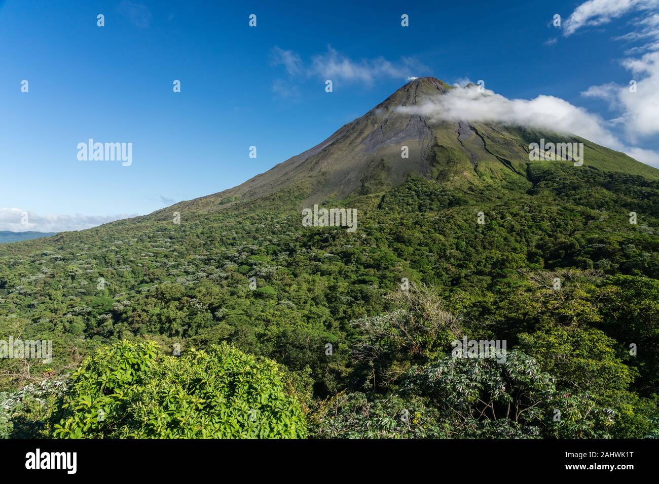Arenal volcano in Costa Rica on a sunny day with blue sky and rainforest in the foreground.Arenal Volcano National Park, Alajuela province, Costa Rica Stock Photo