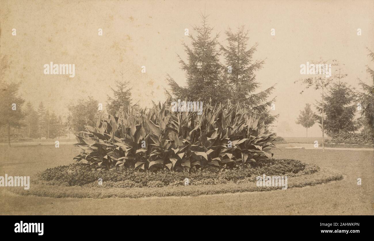 Antique c1890 photograph, flower bed at the New York State Inebriate Asylum, later known as Binghamton State Hospital in Binghamton, New York. SOURCE: ORIGINAL PHOTOGRAPH Stock Photo