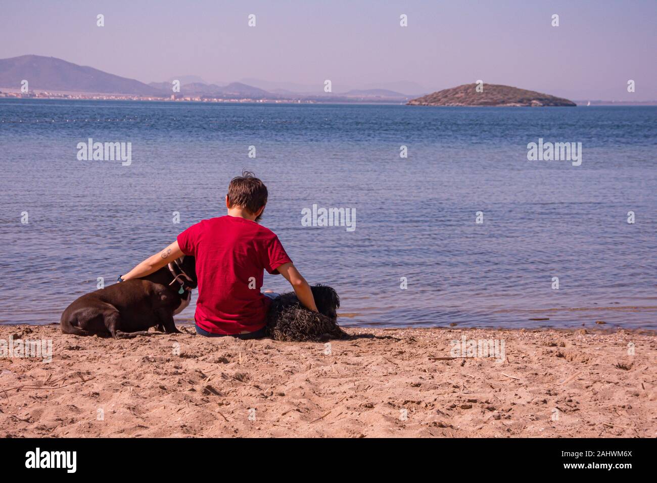 Young woman on the seashore with two black dogs Stock Photo