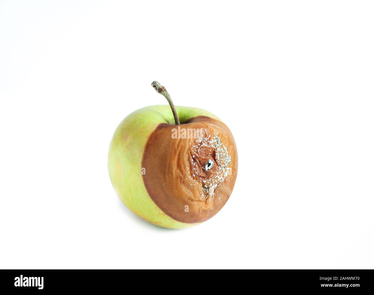 Ugly rotten green apple isolated on white background. Copy space Stock Photo
