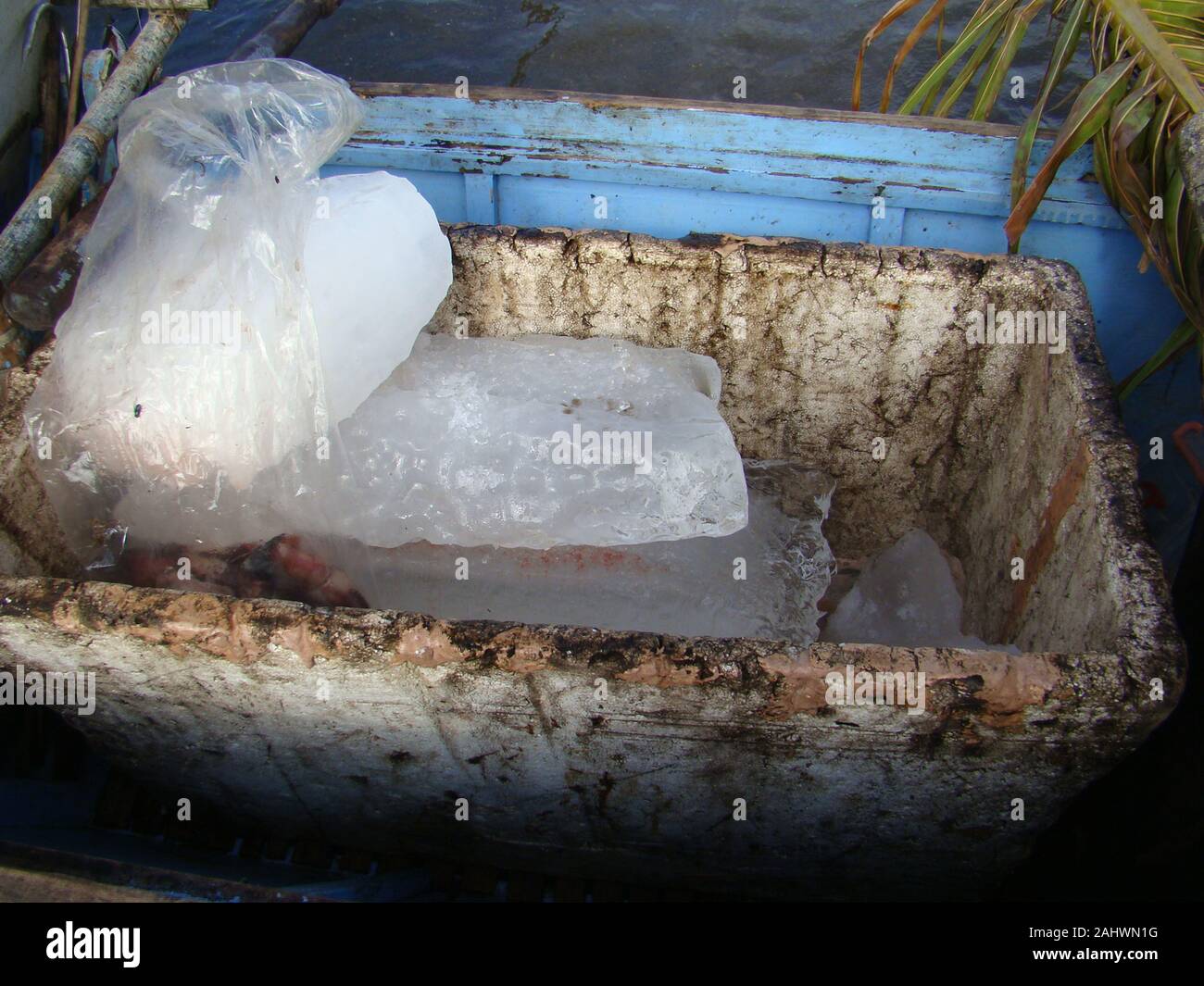 Dirty styrofoam boxes with ice blocks for keeping the fish catch