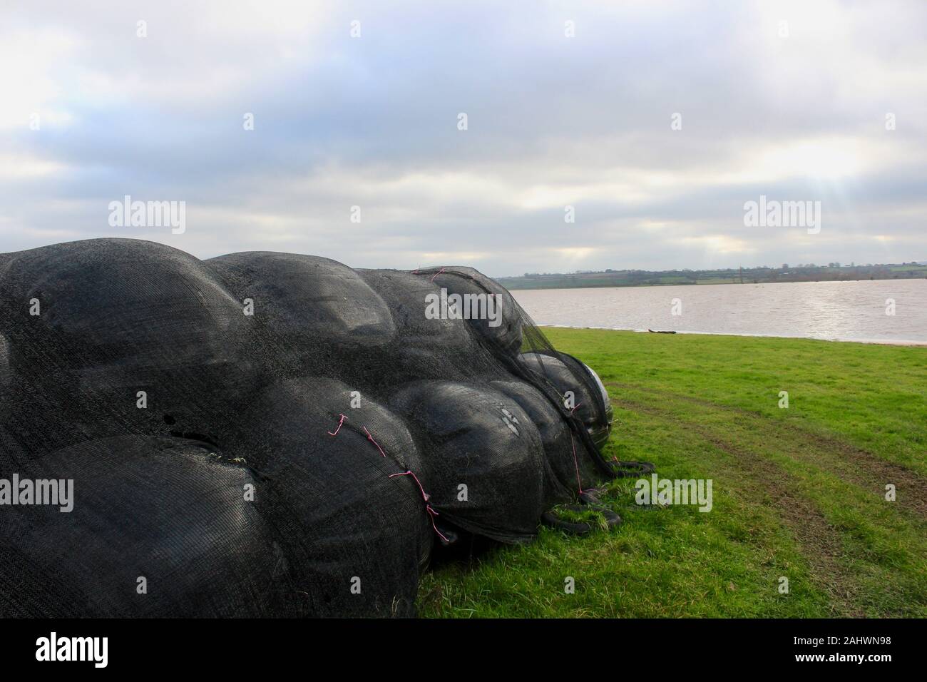 typical small somerset farm in durston taunton countryside with plastic