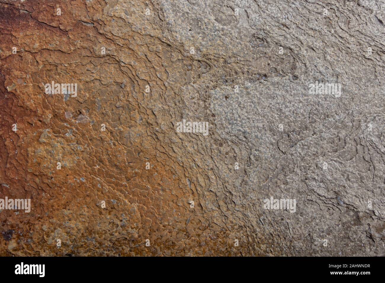 Textured flat light brown and grey rock surface Stock Photo Alamy