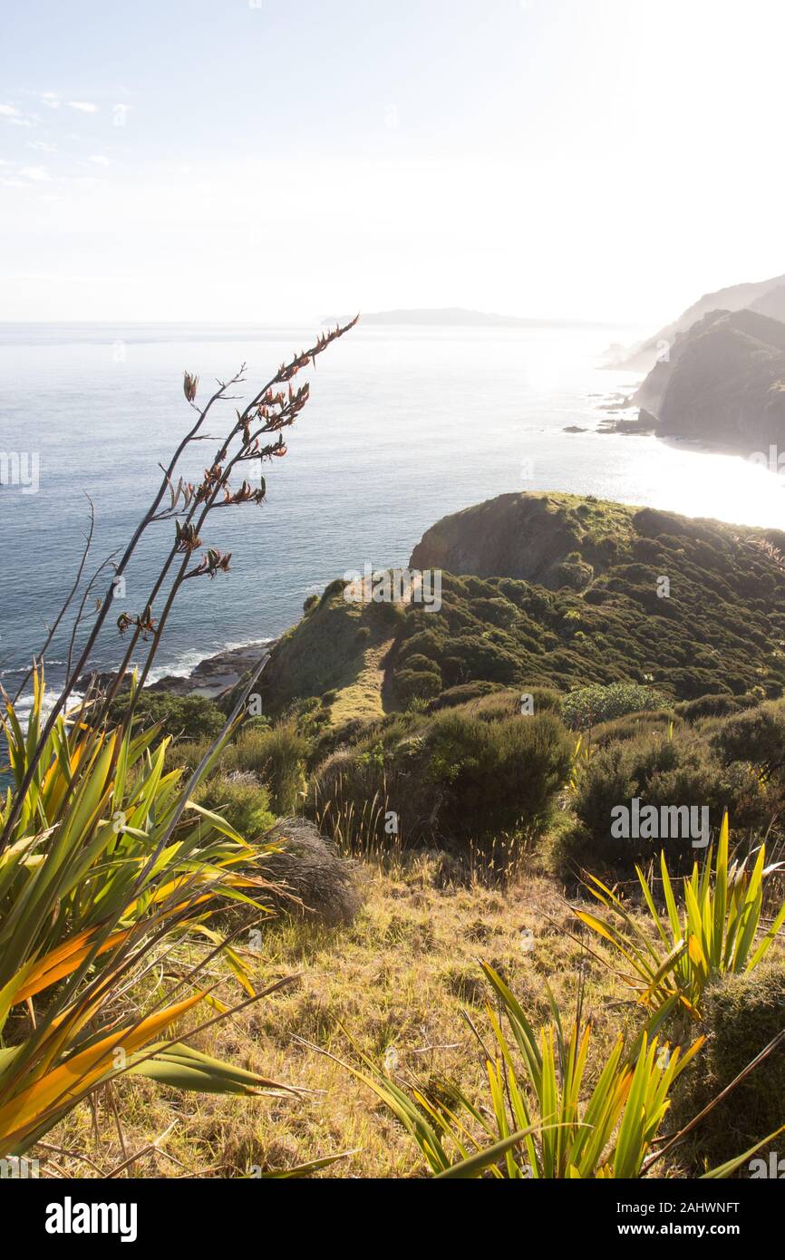 An early morning view from the Te Paki Coastal Track at Cape Reinga in Northland, New Zealand. Stock Photo
