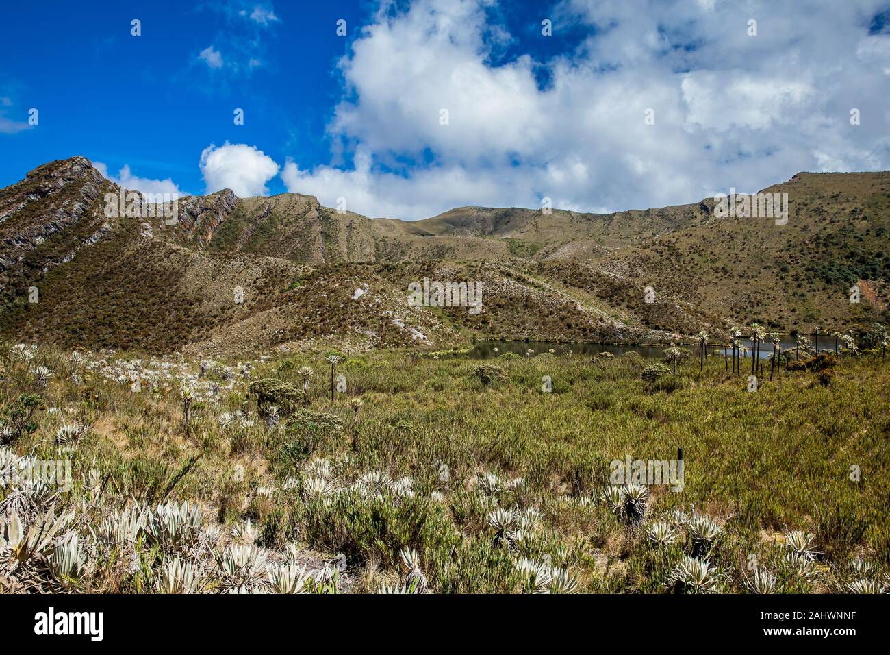 Beautiful landscape of Colombian Andean mountains showing paramo type vegetation in the department of Cundinamarca Stock Photo