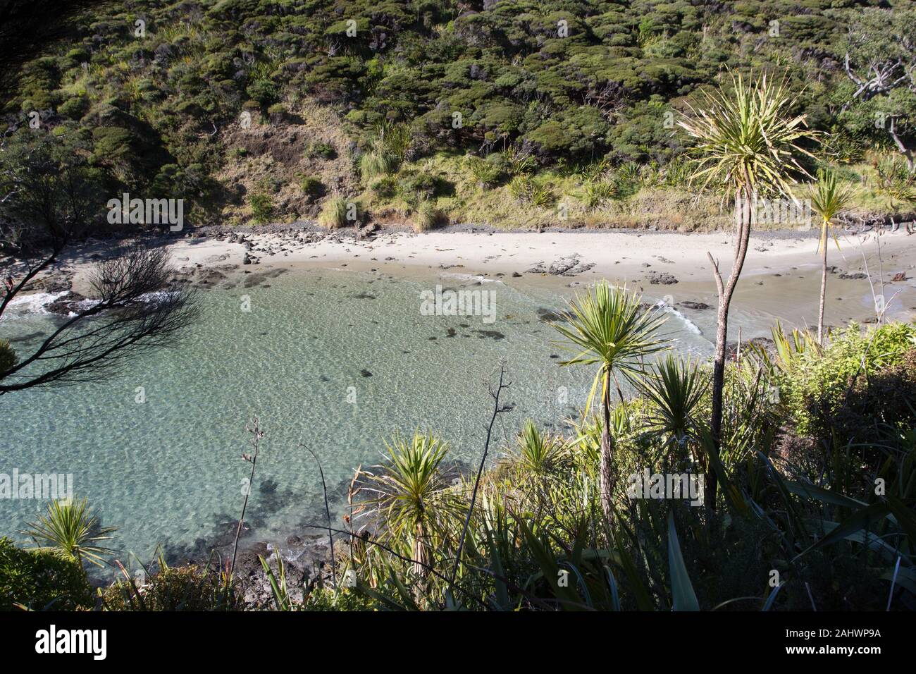 The shallow waters of the remote Sandy Bay cove on the Cape Reinga in Northland, New Zealand. Stock Photo