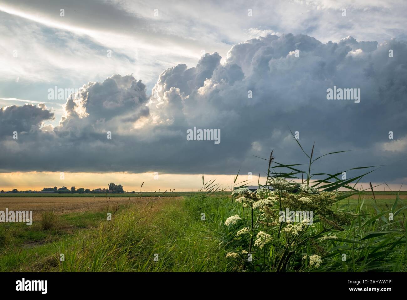 Developing storm clouds over the dutch countryside in the evening Stock ...