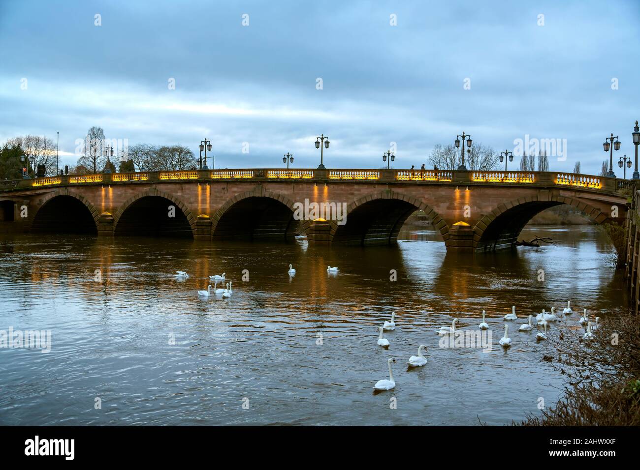 Worcester bridge at dusk. Traditional style lampposts, magnificent arches and swans enjoying the River Severn. Stock Photo
