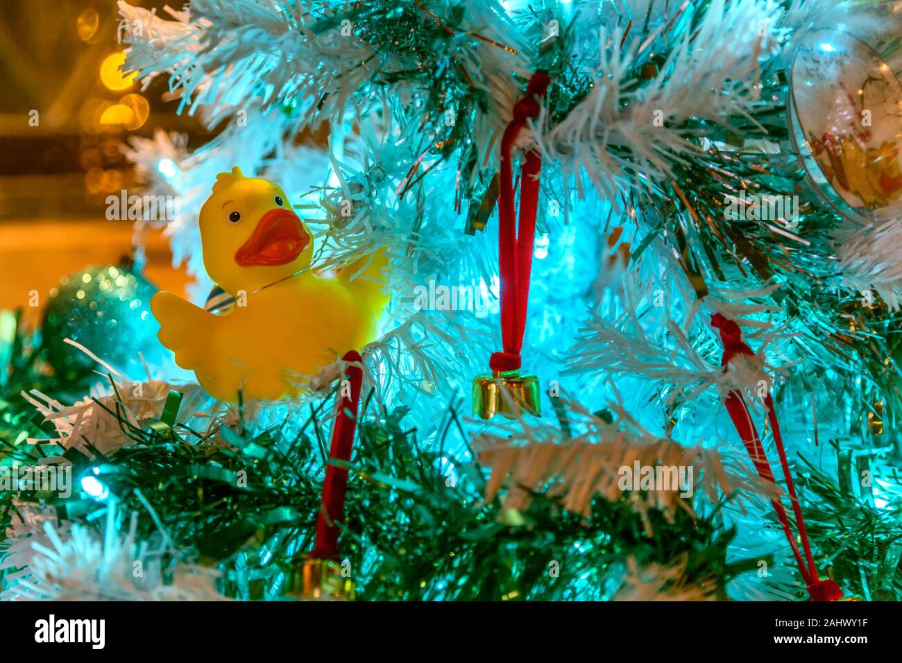 A cute yellow rubber duck is used as an alternative Christmas tree decoration. Stock Photo