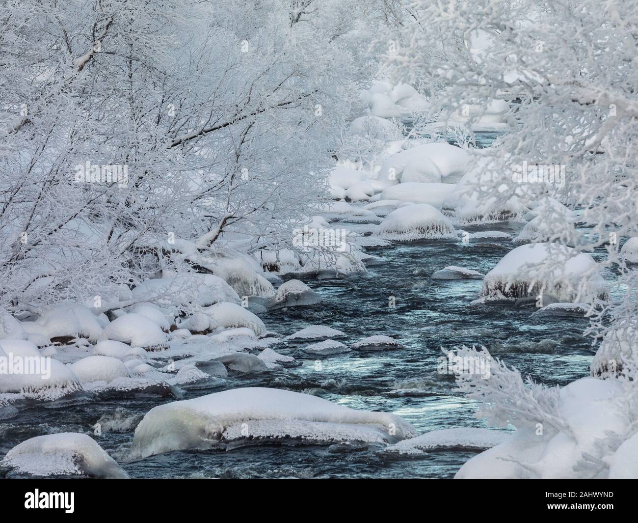 River trees covered frost hi-res stock photography and images - Alamy