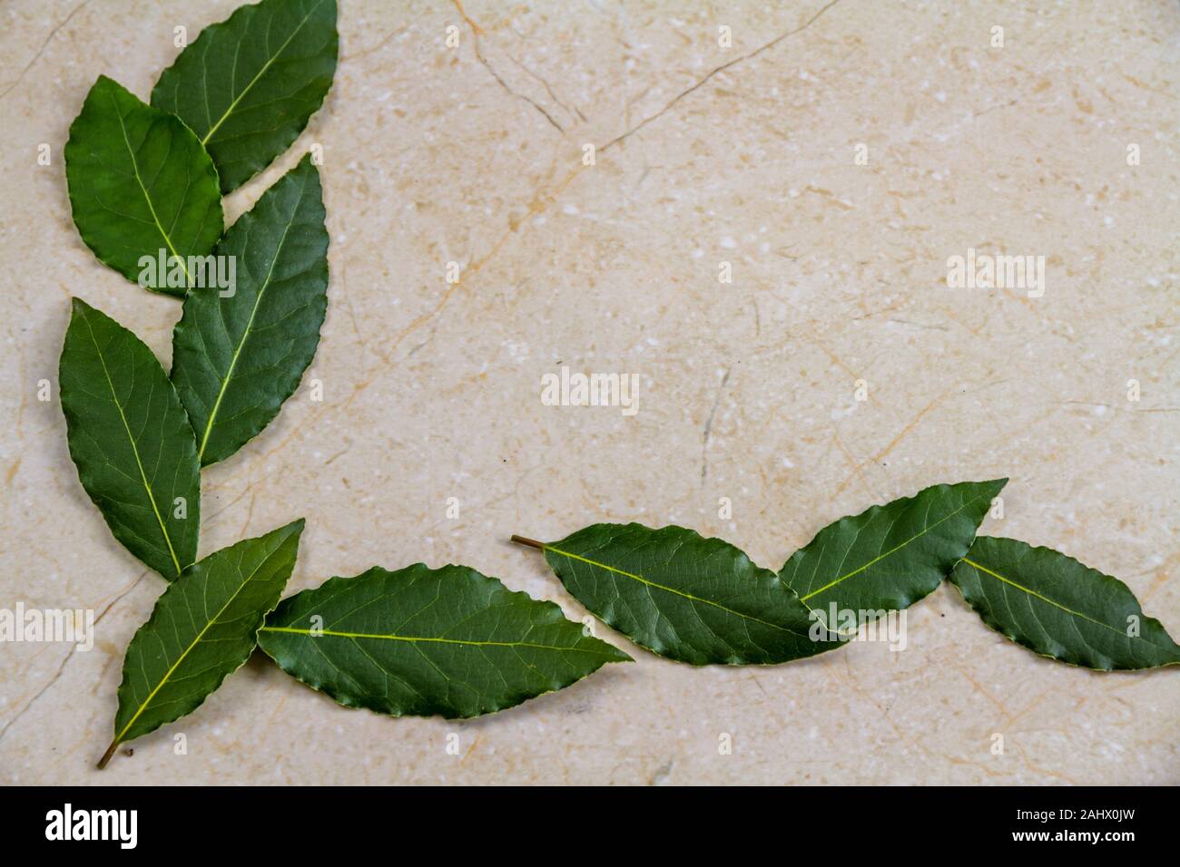 Graphic resource, green Bay leaves scattered on a marble background, in L shape Stock Photo