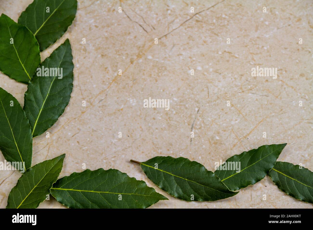 Graphic resource, green Bay leaves scattered on a marble background, in L shape, close up. Stock Photo