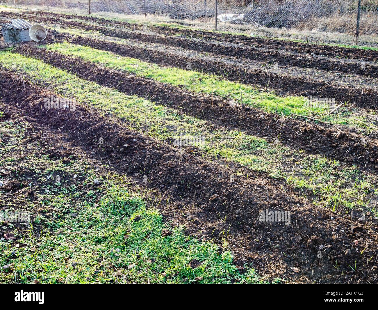 Dug garden bed hires stock photography and images Alamy