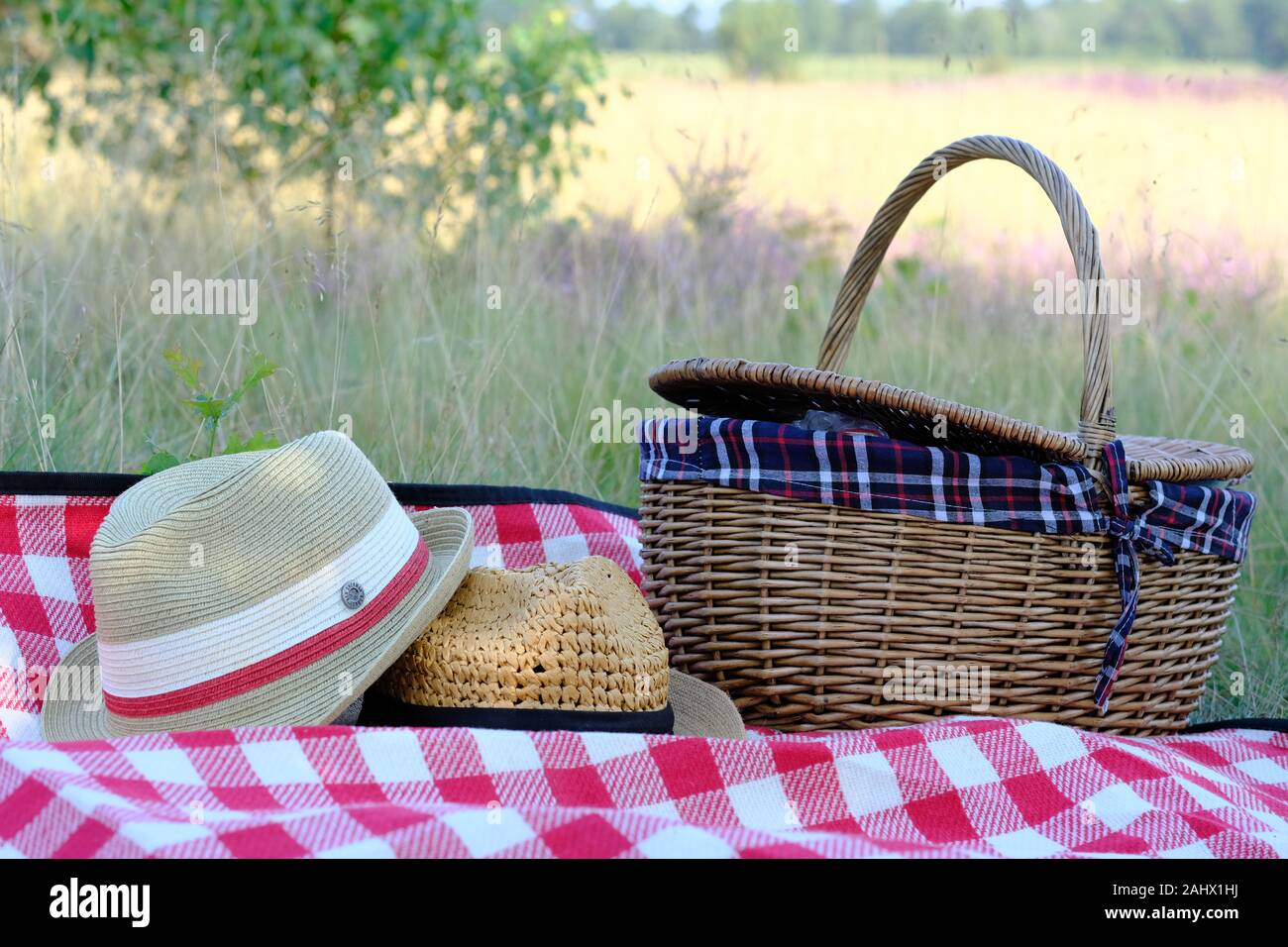 Picknick in der Lüneburger Heide Stock Photo