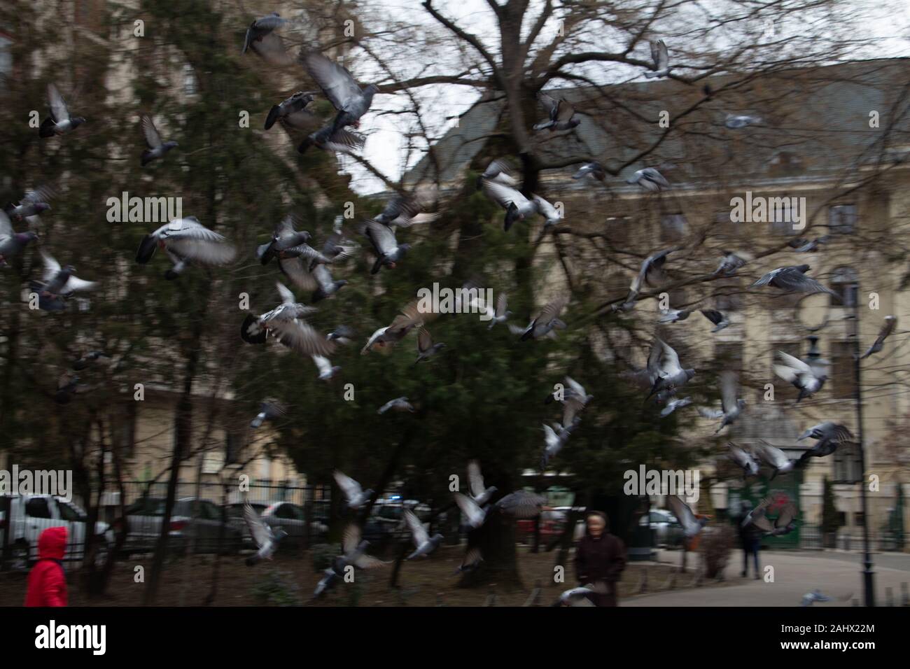 Discovering Bucharest Romania Stock Photo Alamy